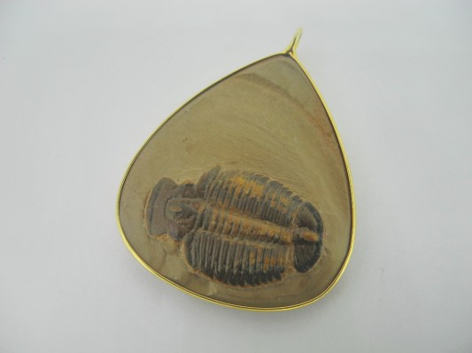 Nessuna immagine impostata 